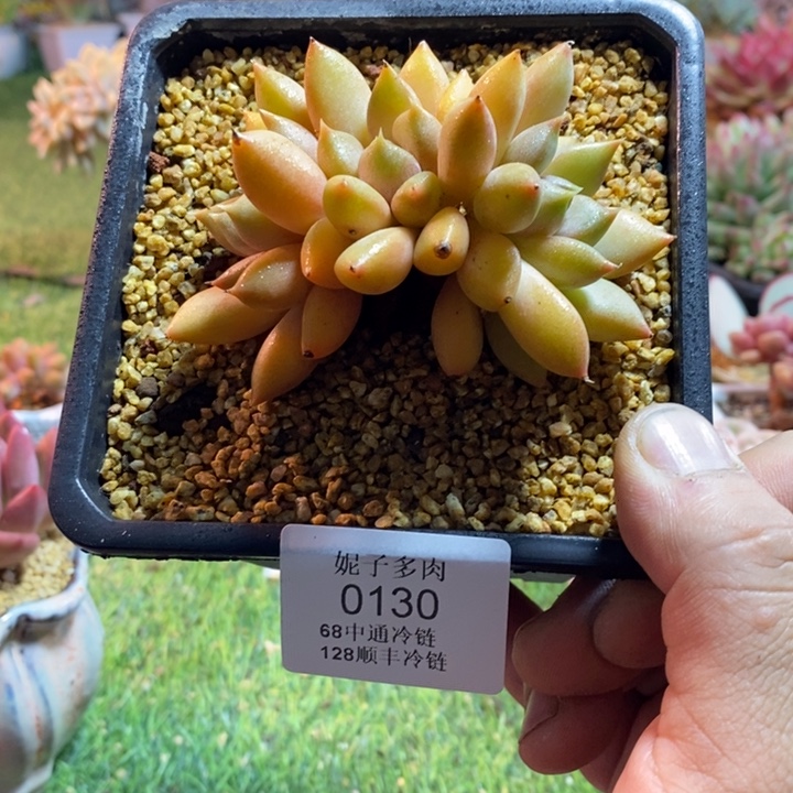 0130啊啊啊啊啊啊啊啊啊啊啊