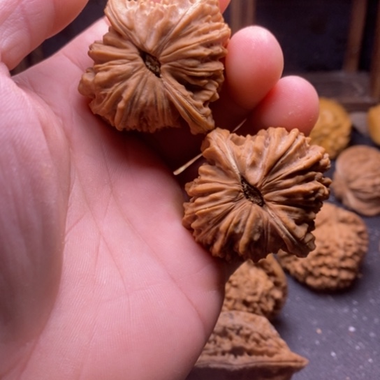 文玩核桃全品楼子43