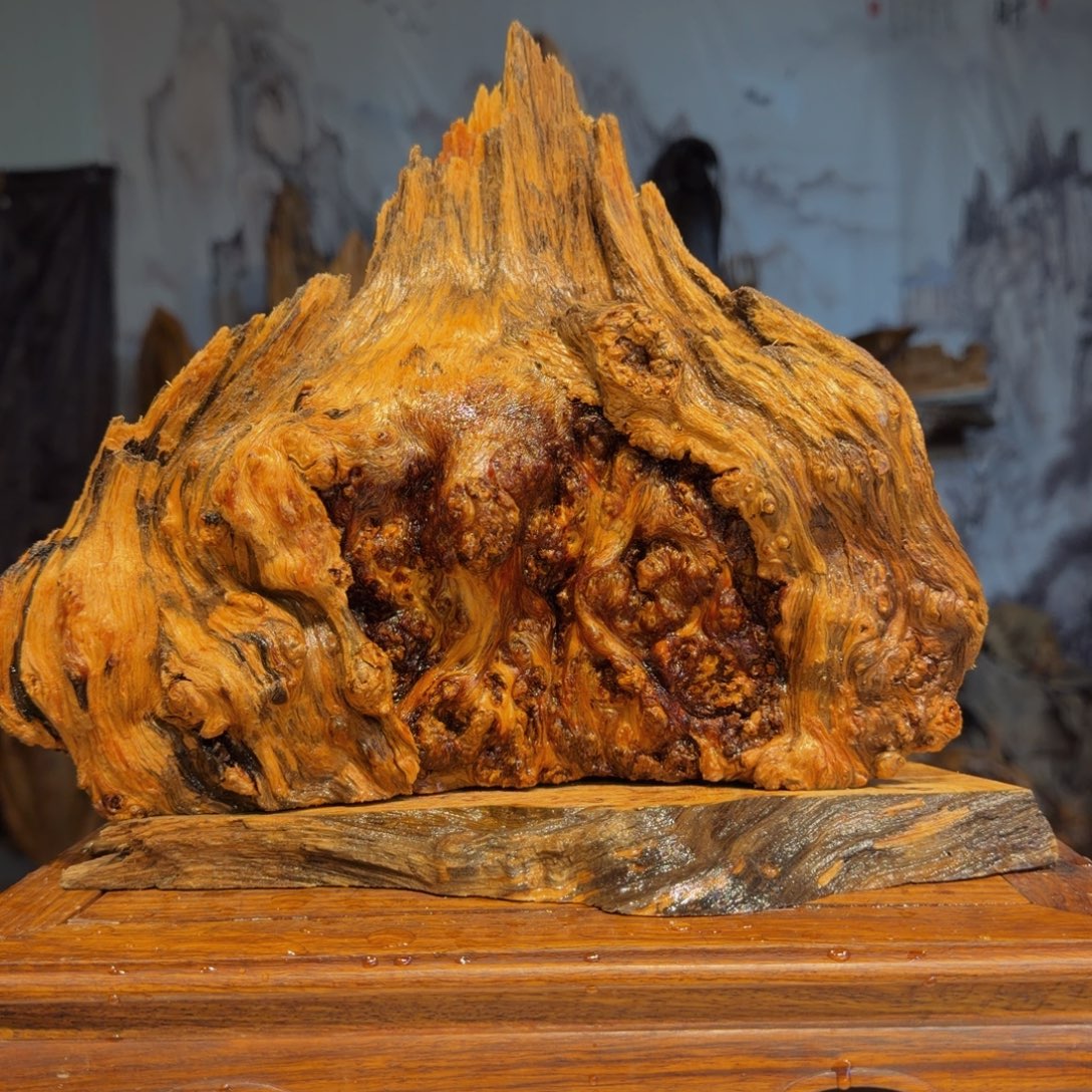 享***下木三丰琥珀木 天然摆件31