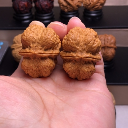 文玩核桃把件霸王龙脊16