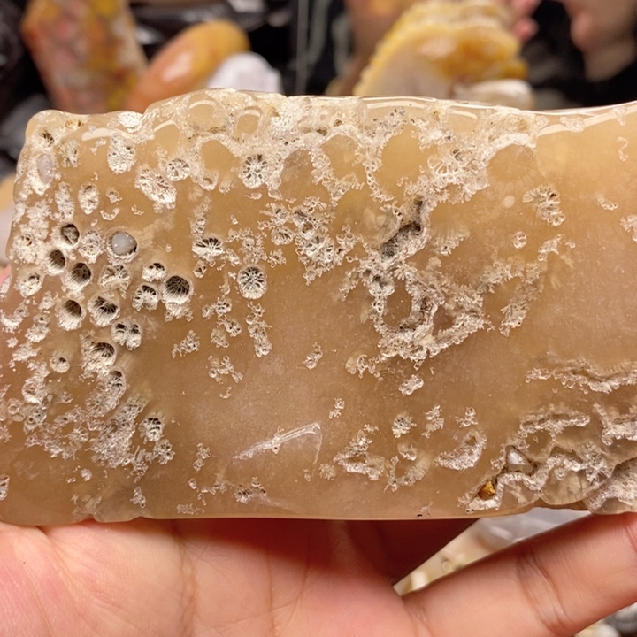 硅化珊瑚（珊瑚玉）手镯未镶嵌