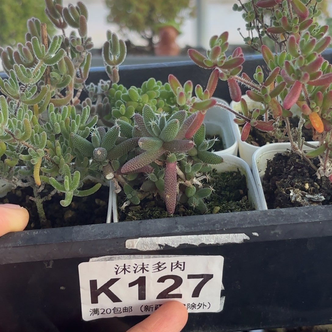 127新手套餐福利组合