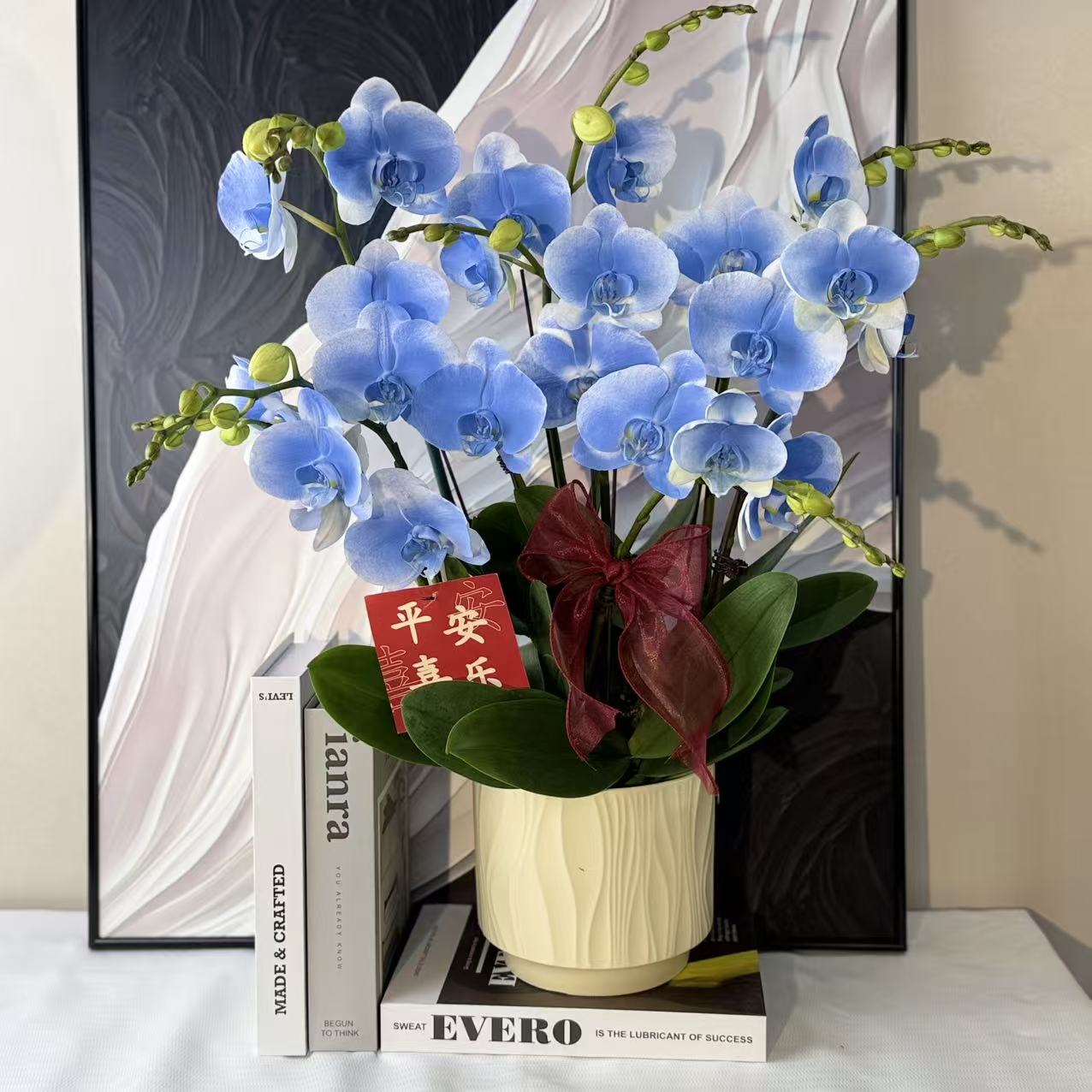 蝴蝶兰《蔚蓝亦境》深邃梦幻色系稀缺艺术吸色染色马卡龙基地直发