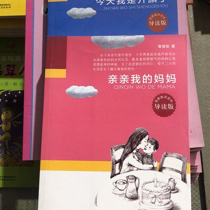 今天我是升旗手，亲亲我的妈妈两本