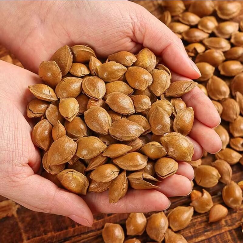 新疆直发开口杏淡嘴大颗粒500g