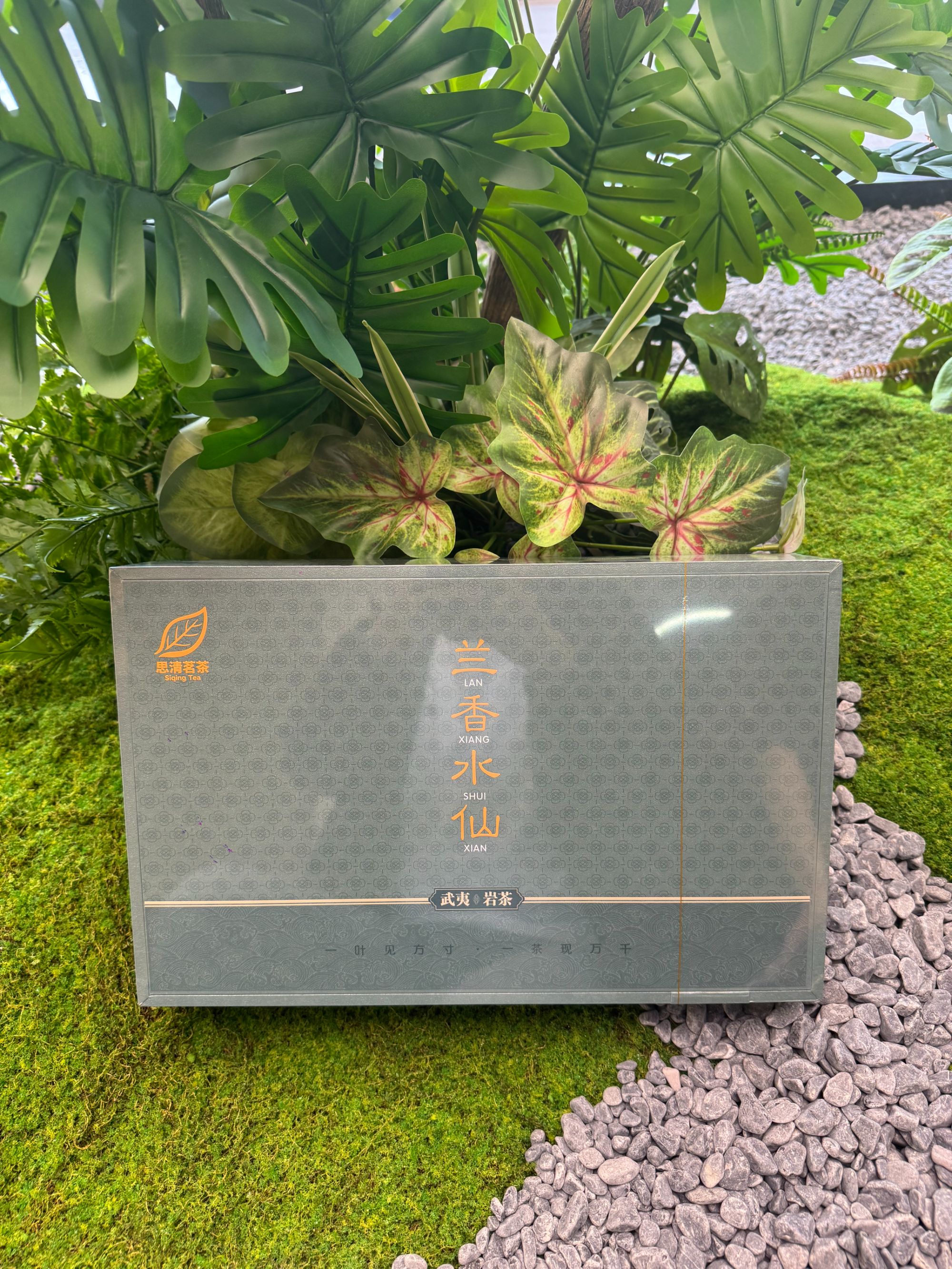 武夷岩茶兰香水仙兰香幽幽