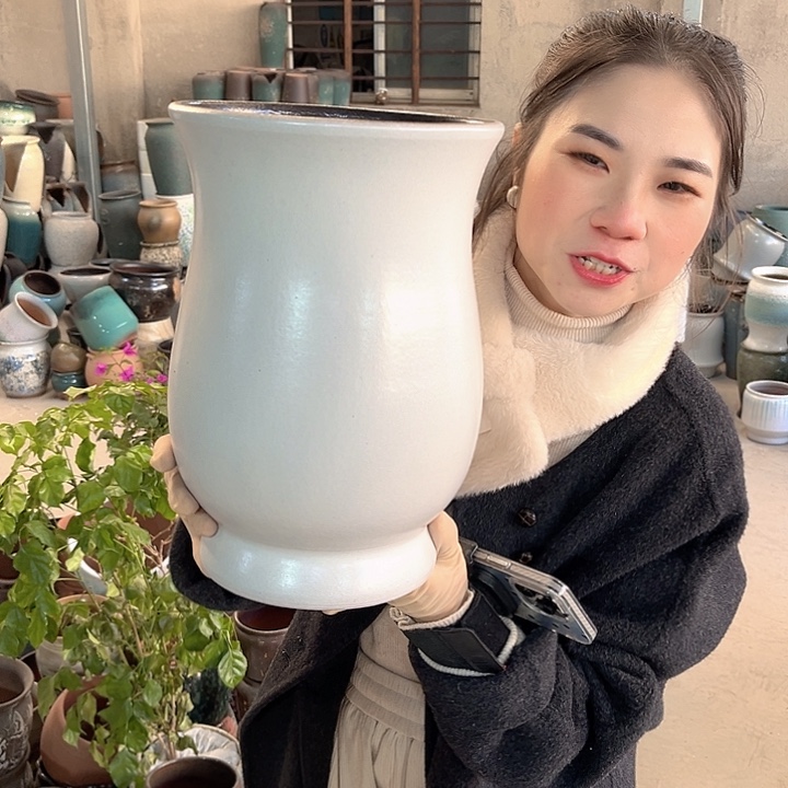 正品口20高30花盆……