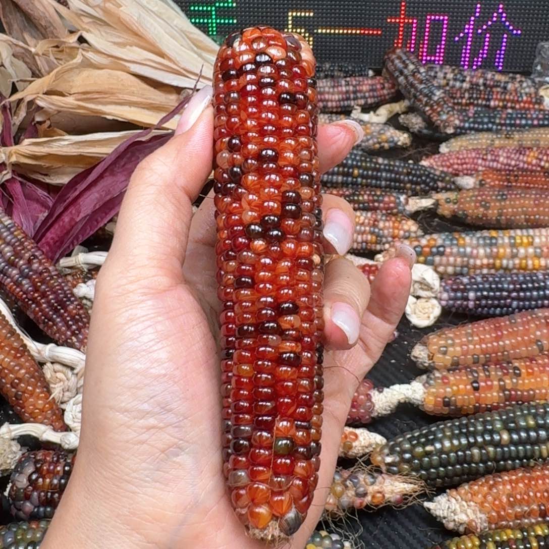 柏香籽/百香籽吊坠奢****地