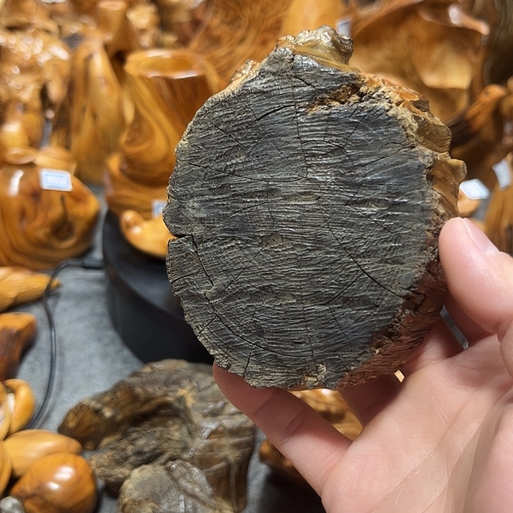 大***哥柏木崖柏手把手把6