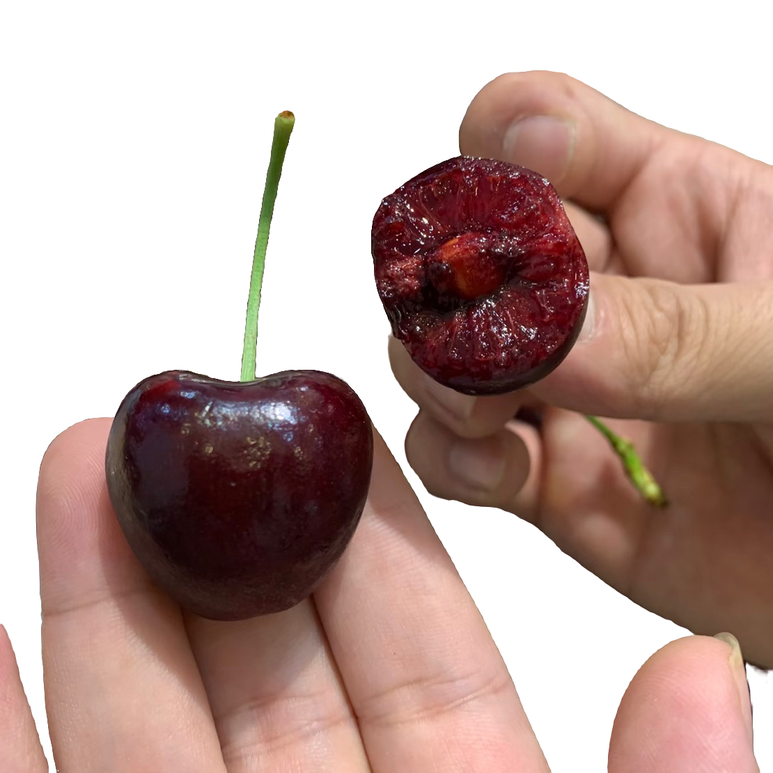 智利车厘子JJ，5斤装净果空运智利