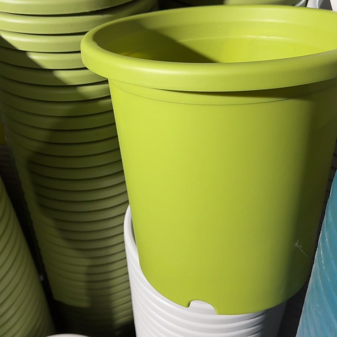 树脂四季7号无托6个果绿微瑕