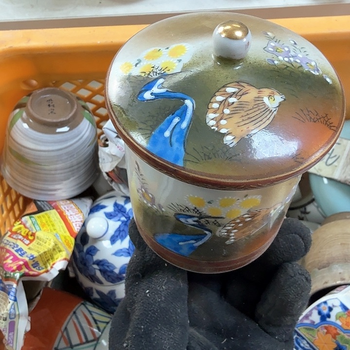 壶开播啦….开播啦