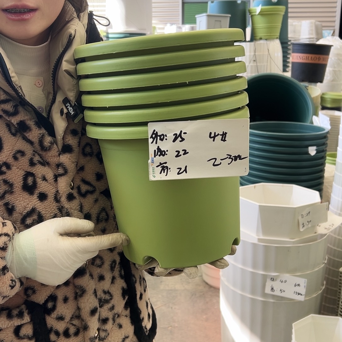 四季盆4#果绿8个无托