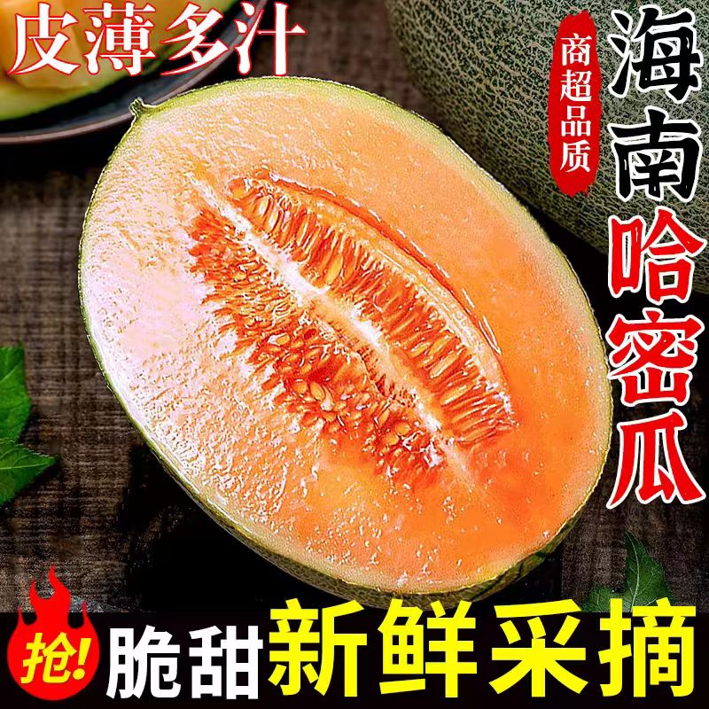 【甜蜜爆汁】正宗海南海沙地薄皮肉厚脆甜新鲜当季水果西州25哈密瓜