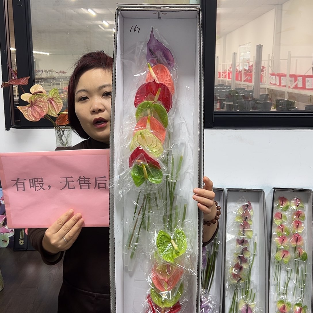 完全开放混色-16枝装无售后款162