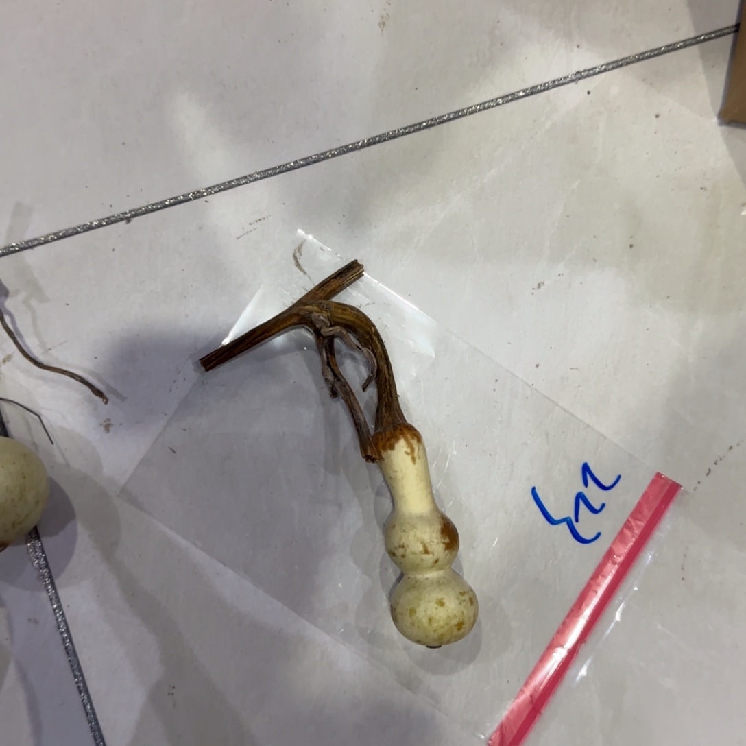 我***已青皮不包成，，，，，，，，，，，，