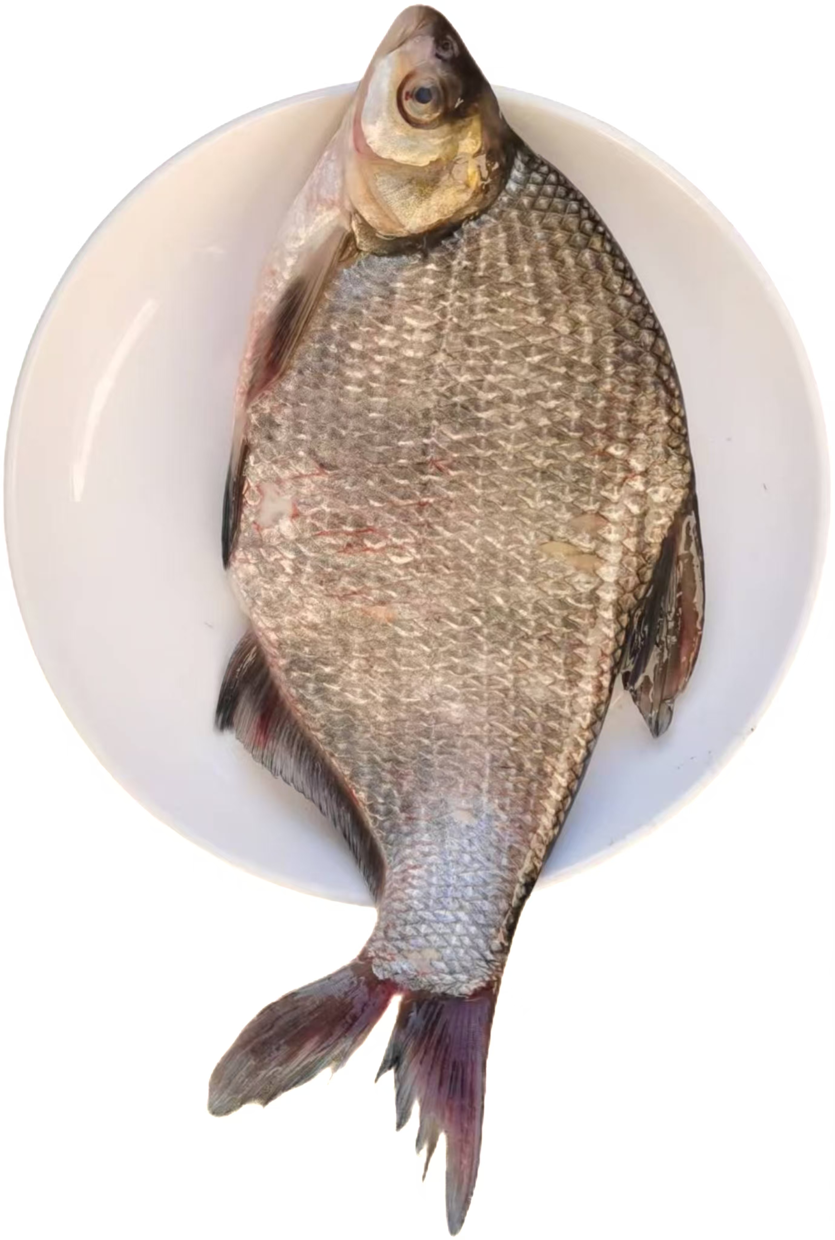 速冻东北冷水鳊花鱼7-8斤包邮产地吉林松原