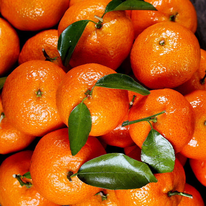 正宗广西沙糖桔应季新鲜现摘水果爽甜不上火