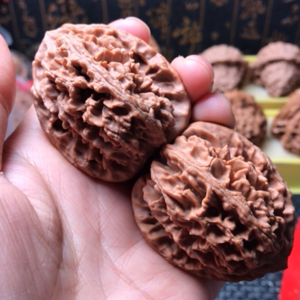 【闪购商品】霸王龙尺寸42