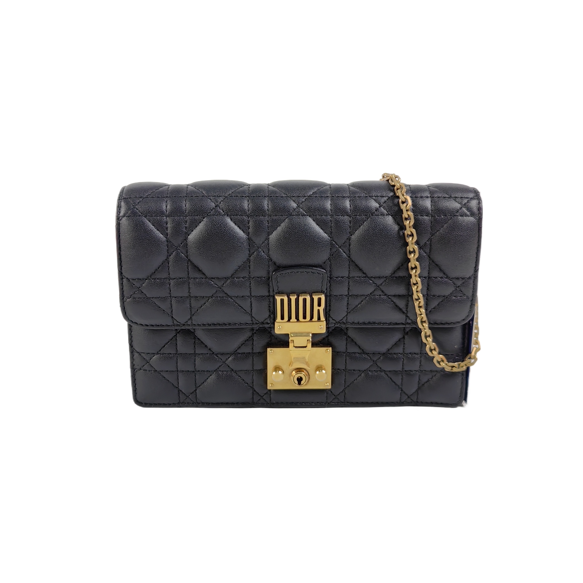 95新 DIOR/迪奥 95新 迪奥 安洁利严选/BK0145789 斜挎包