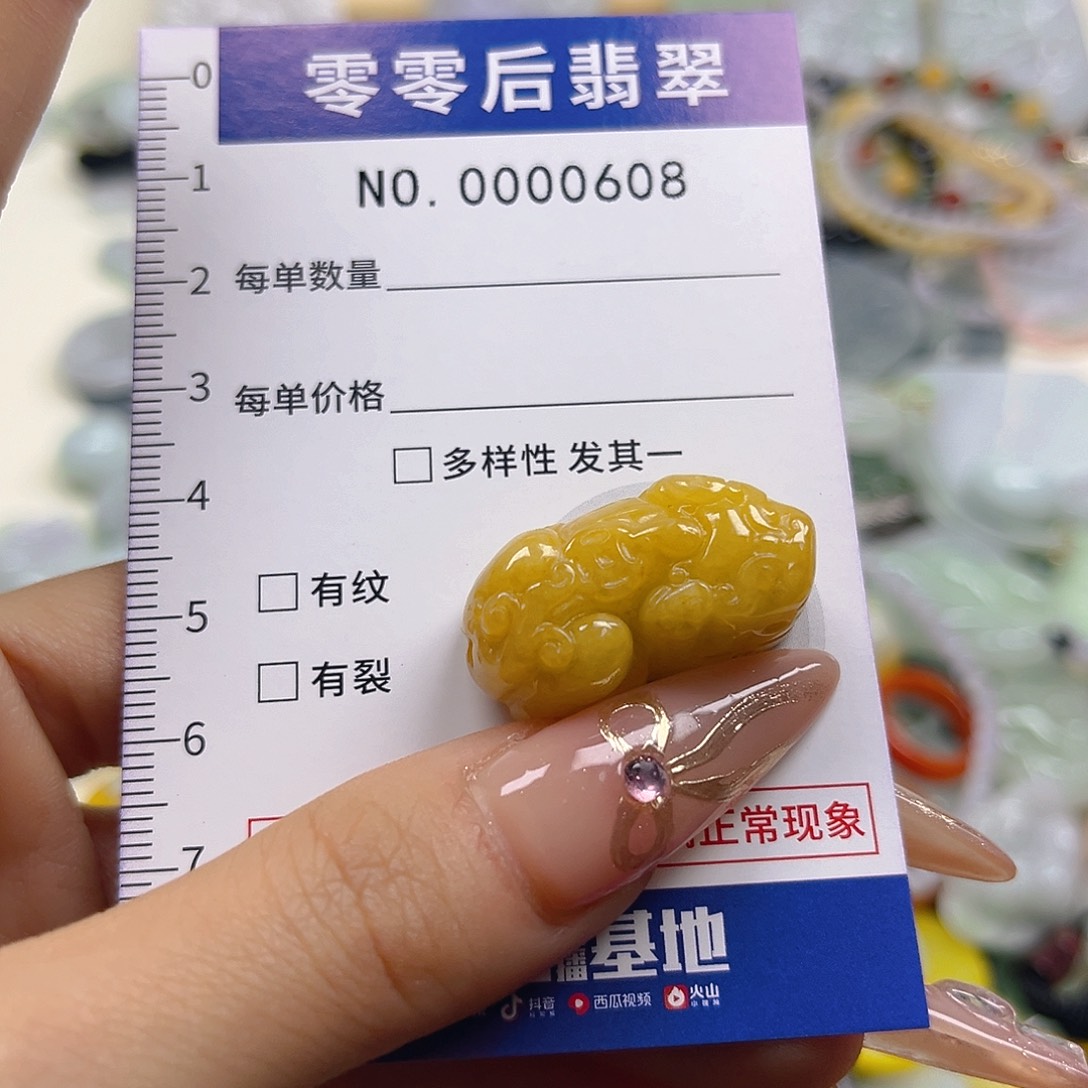 翡翠未镶嵌颈饰ghh