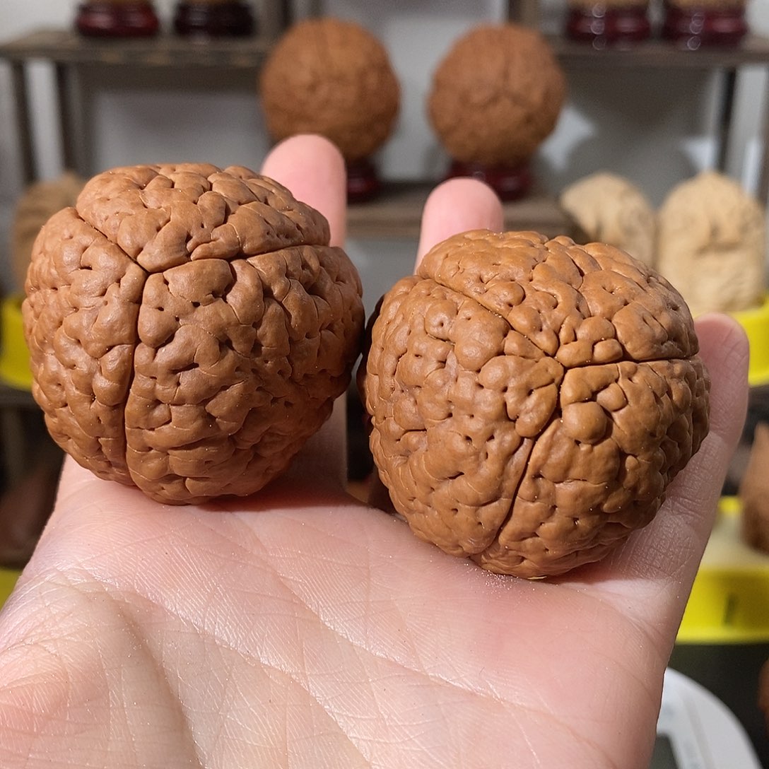 吊坠文玩核桃三瓣脑纹金刚4554