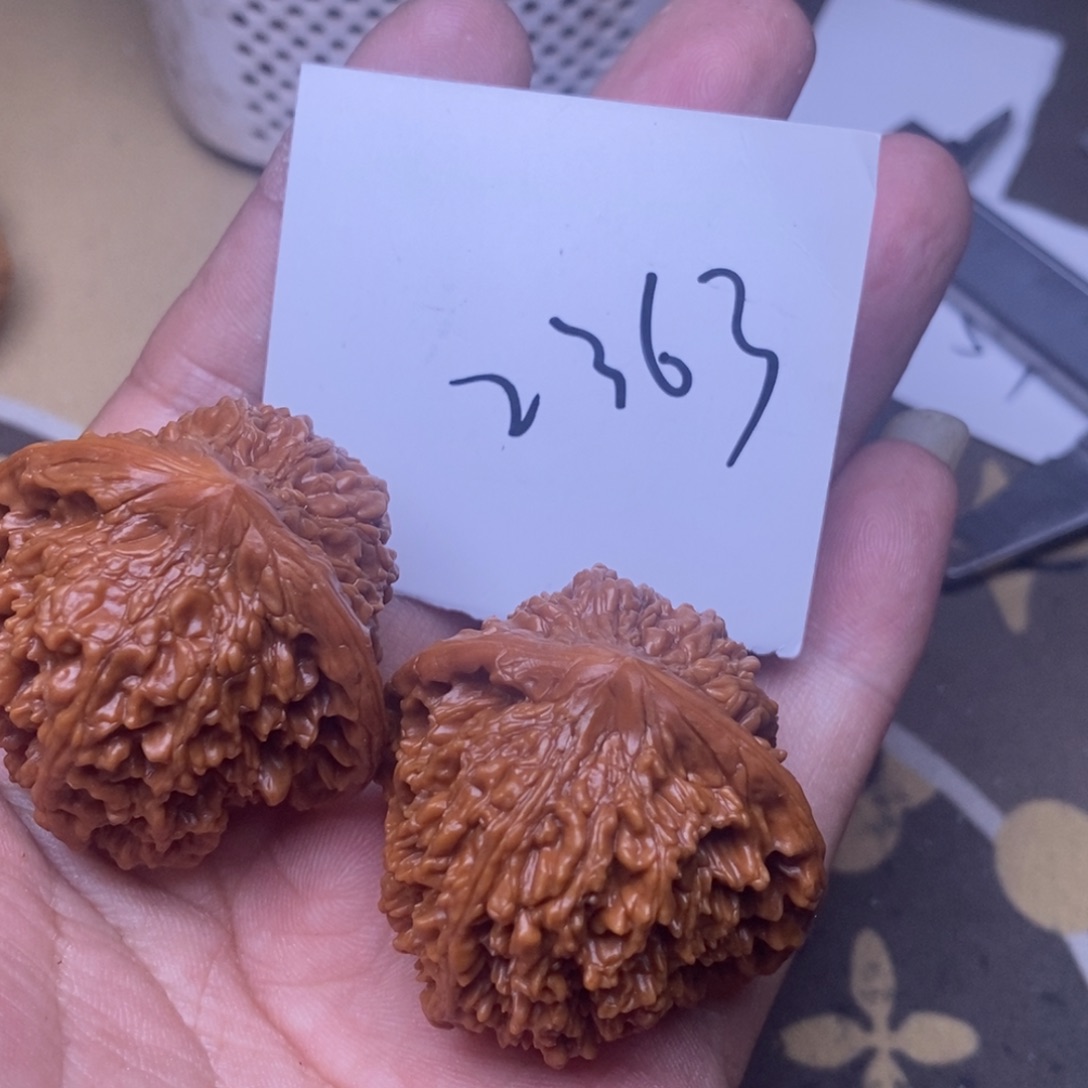 核桃满天星尺寸40