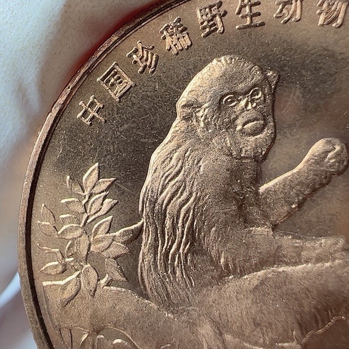 其他普通金属金丝猴卷拆多肉国单枚，，，