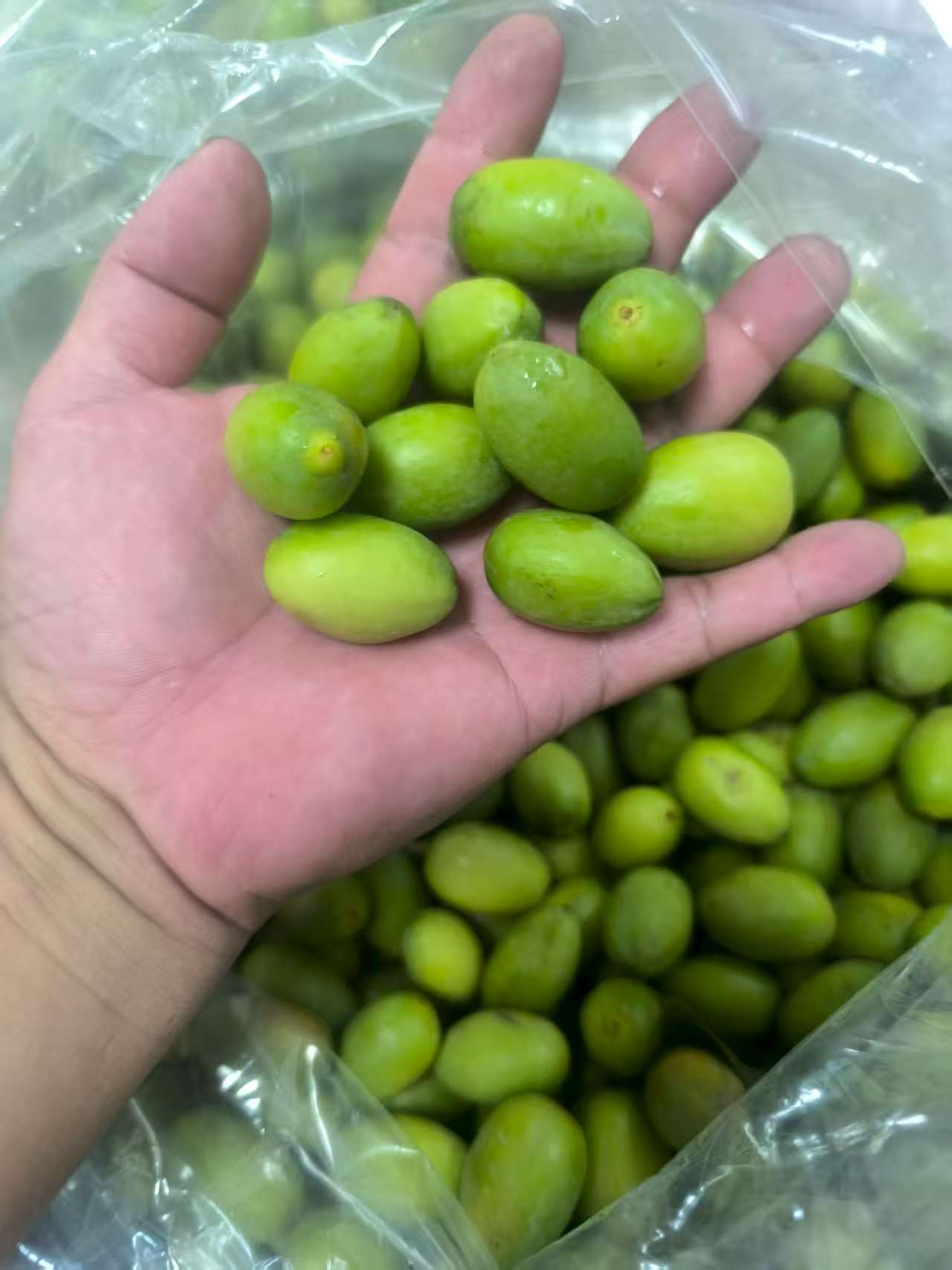 潮汕新橄榄三捻橄榄生吃回甘