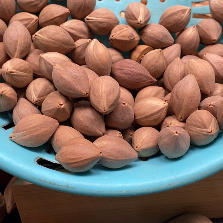 吊坠橄榄核弓**又半斤