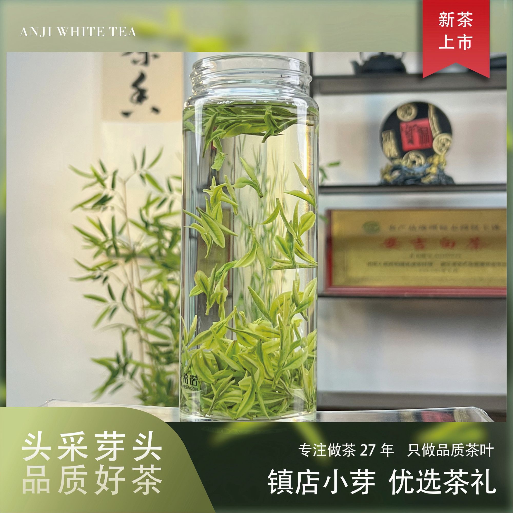 5号【老母鸡汤A08】2025新茶昆铜横岭明前头采正味兰香鸡汤鲜白茶 