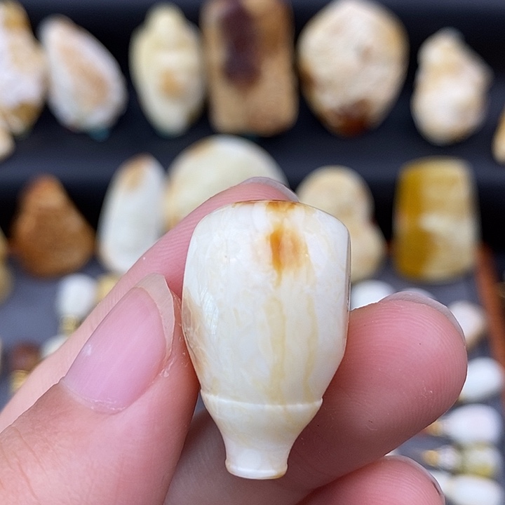 裸石琥珀未镶嵌15.9瓷白腊三通y70