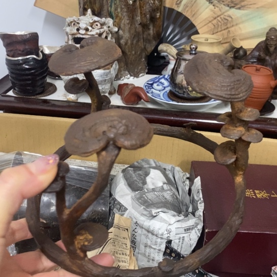 紫砂茶杯好物分享欢迎老板