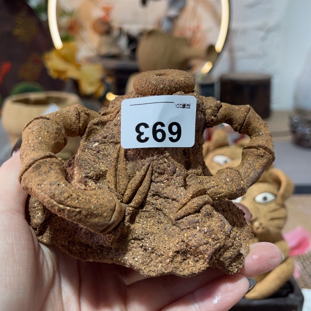 木村信弘柴烧保平