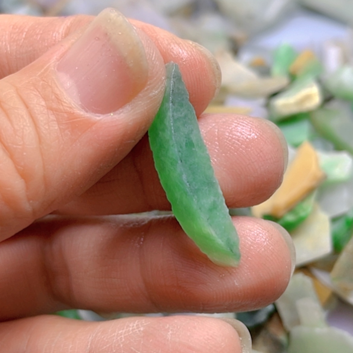 【闪购商品】翡翠颈饰未镶嵌A货