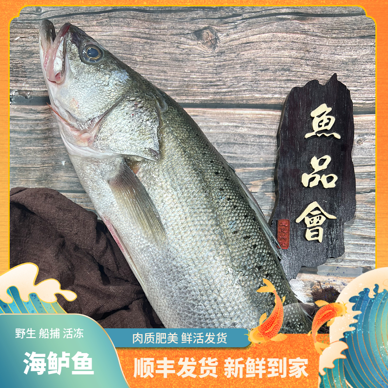 福建船捕【新鲜海鲈鱼】深海捕捞鲜活冰冻渔船直供新鲜到家