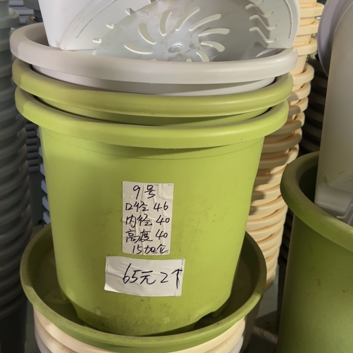 微瑕9#口径46无托果绿3个