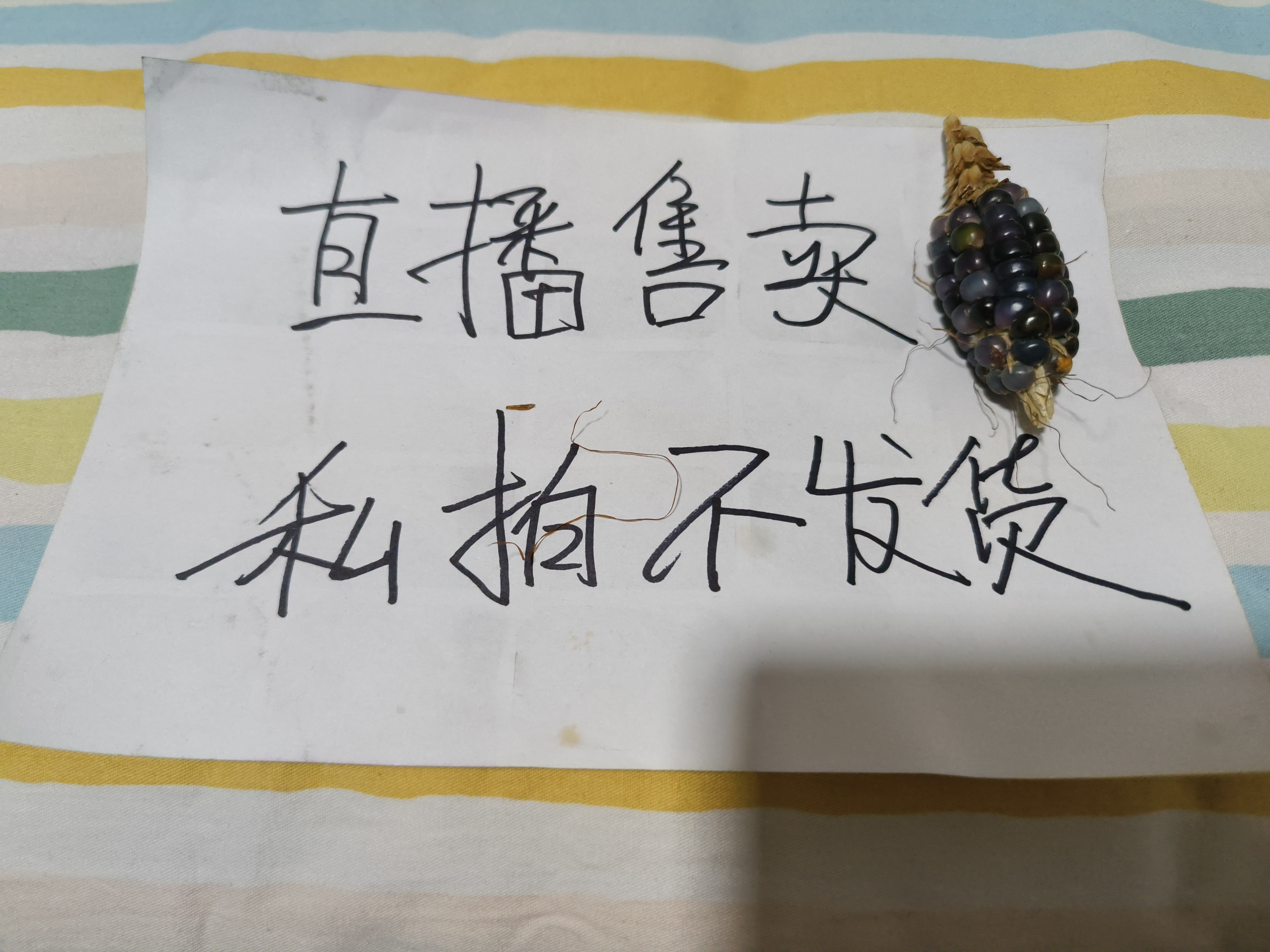 文玩玉米，一物一拍