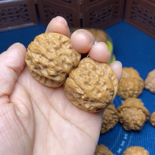 文玩核桃把件野狼35