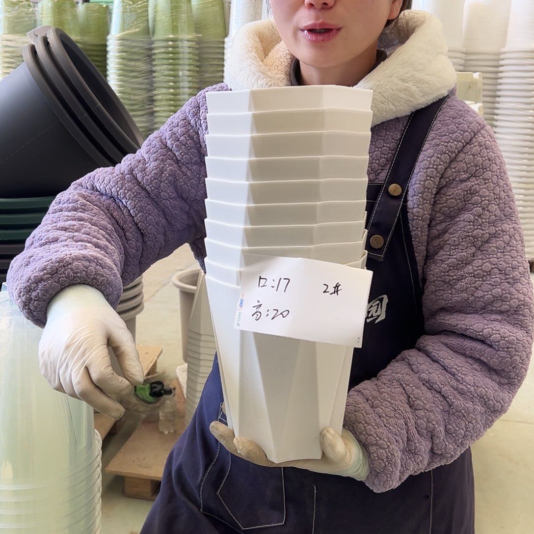 瑕疵钻石盆2#白色10