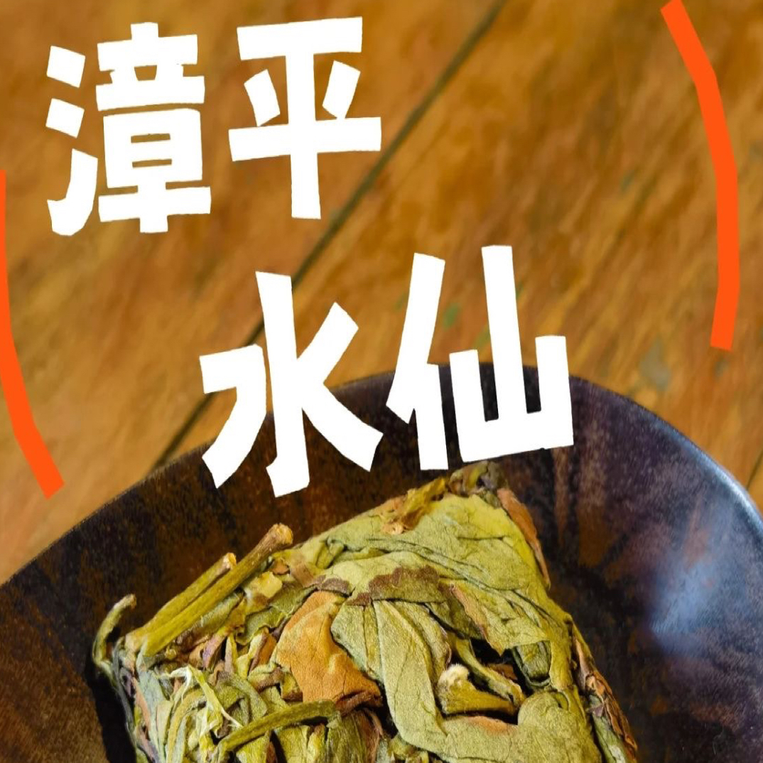 漳平水仙乌龙茶小茶砖传统工艺野放老枞耐泡鲜香回甘