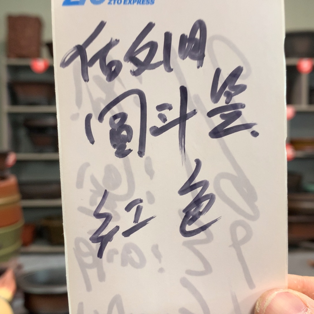 宜兴紫砂花盆精品