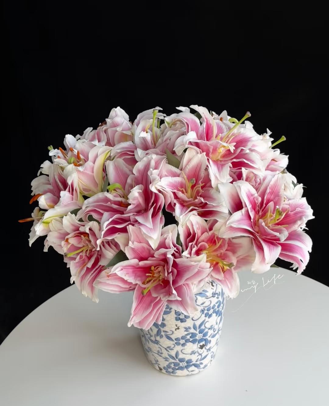 卡斯塔（莲花皇宫）重瓣百合浓香东北鲜花原产地直采直发母亲节礼物