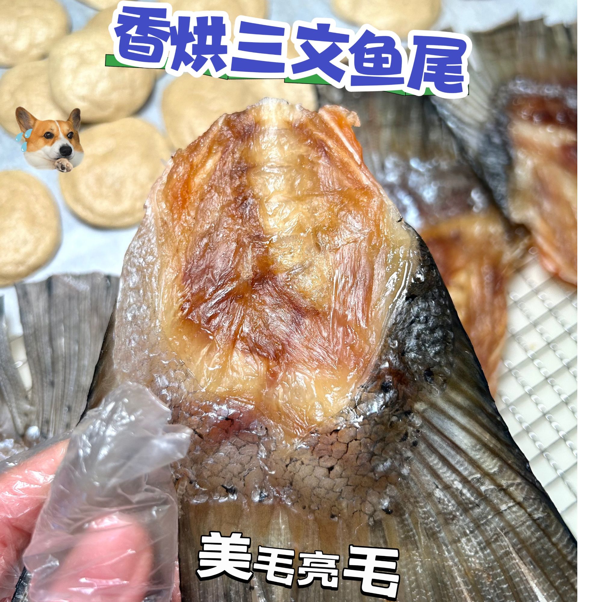 【烘干三文鱼尾】手工烘干宠物零食三文鱼尾磨牙亮发美毛