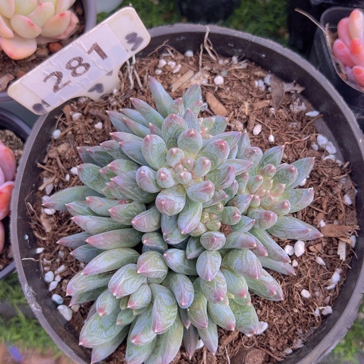 健健康康平平安安