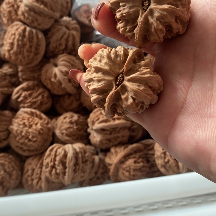 吴*凤野生野生野生野生野生