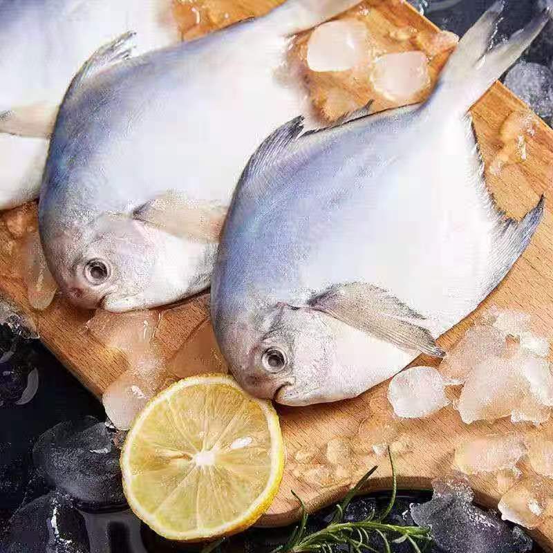 液氮速冻锁鲜发货  大鲳鱼    每条半斤左右  发6条