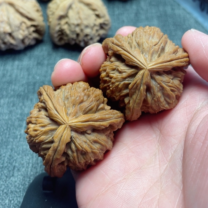 工艺三棱白狮子三棱