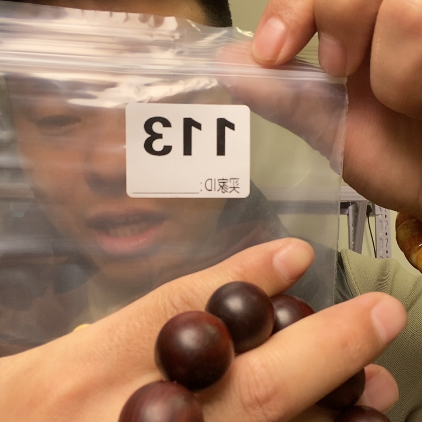 【闪购商品】核桃木/黑胡桃（胡桃木）113大