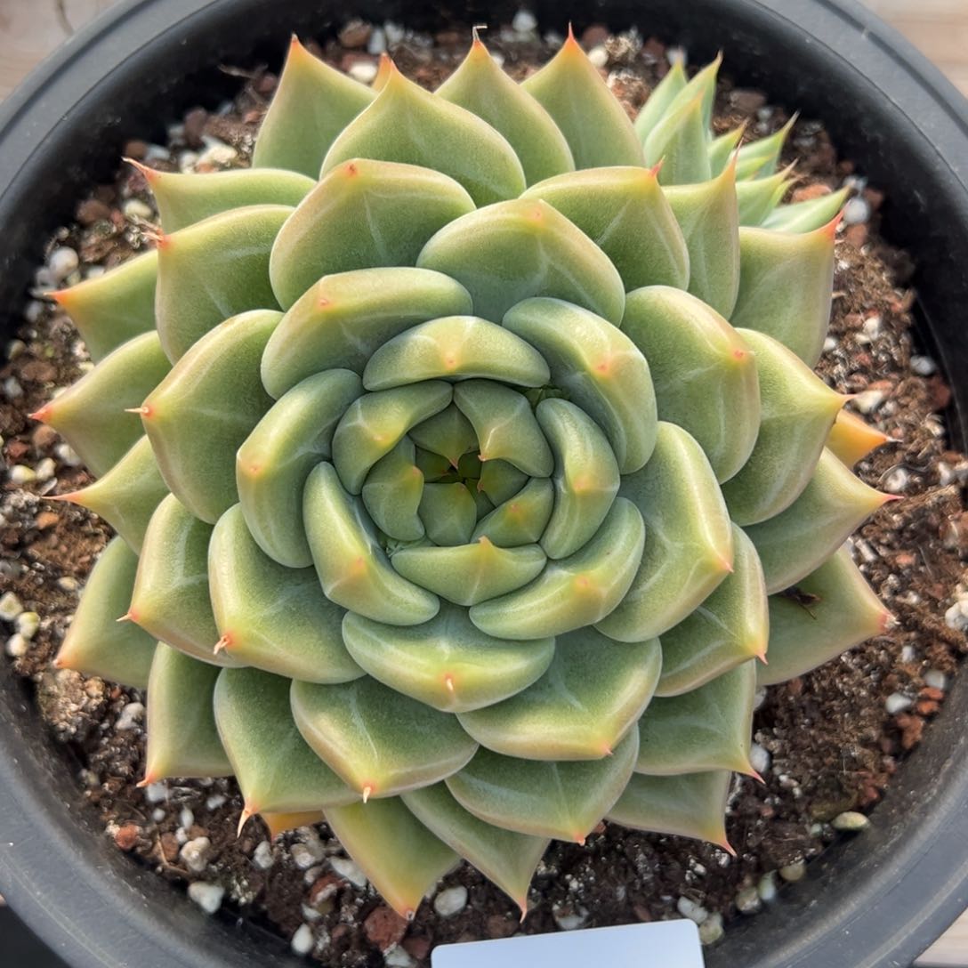 可*?2371肉肉肉肉肉肉肉